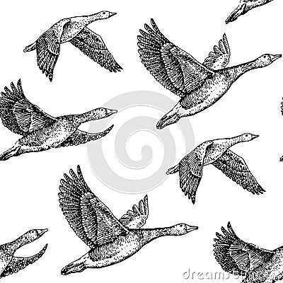 Flying geese Vector Illustration