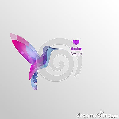 Flying hummingbird, colorful vector Vector Illustration
