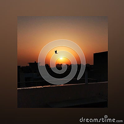 Flying life with abstract sunset Stock Photo