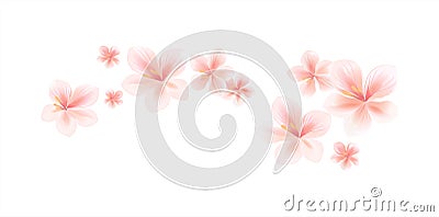 Flying light pink peach flowers isolated on white background. Ap Vector Illustration