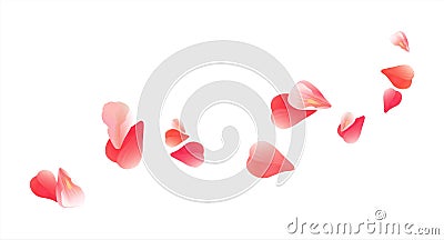 Flying light Pink Red petals isolated on white background. Roses petals. Falling Cherry flowers. Vector EPS 10 cmyk Vector Illustration