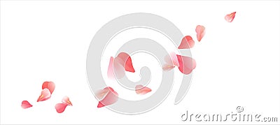 Flying light Pink Red petals isolated on white background. Roses petals. Falling Cherry flowers. Vector EPS 10 cmyk Vector Illustration