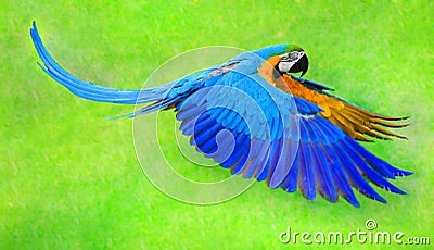 Flying macaw parro Stock Photo