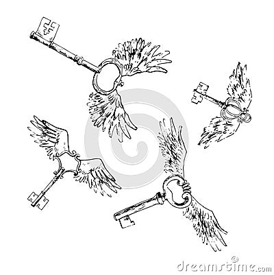 Flying magic keys, vector illustration. Bird`s beautiful wings. Vector Illustration