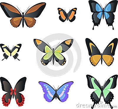 Flying Malachite Morpho Butterfly Invertebrate Arthropod Insect Cartoon Illustration