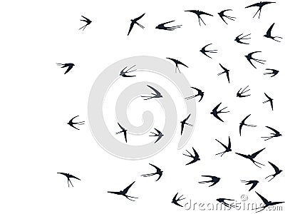 Flying martlet birds silhouettes vector illustration. Nomadic martlets bevy isolated on white Cartoon Illustration