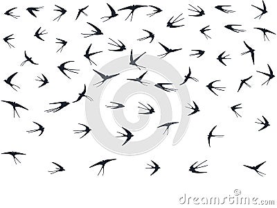 Flying martlet birds silhouettes vector illustration. Nomadic martlets bevy isolated on white. Vector Illustration