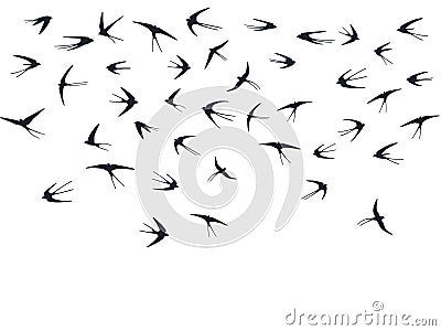 Flying martlet birds silhouettes vector illustration. Nomadic martlets swarm isolated on white. Vector Illustration