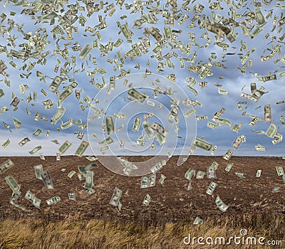 Flying money on field Stock Photo