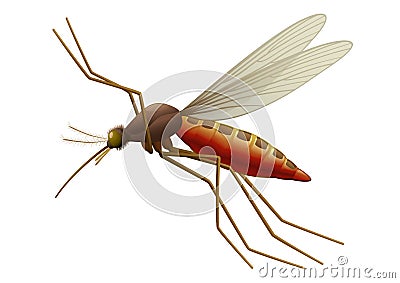 Flying Mosquito Vector Illustration
