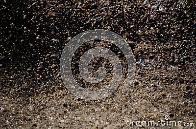 Flying mud splat Stock Photo