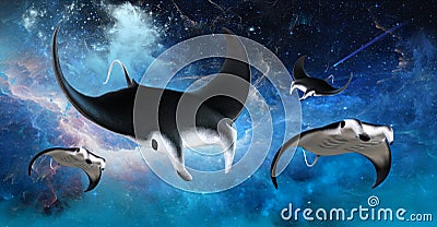 Flying Outer Space Manta Stingray Stock Photo