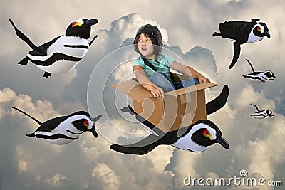 Flying Penguin Team, Imagination, Play Time Stock Photo