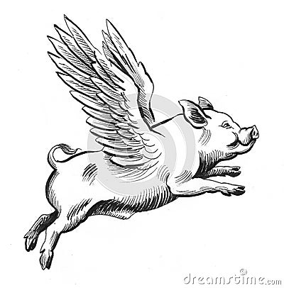 Flying pig Cartoon Illustration