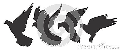 Pigeons Vector Illustration