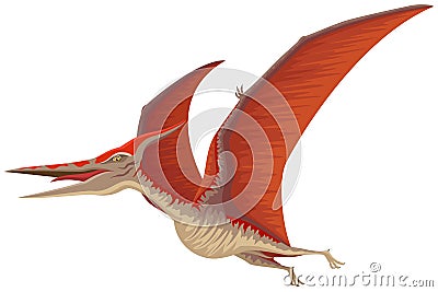 Flying Pteranodon Dinosaur Vector Illustration