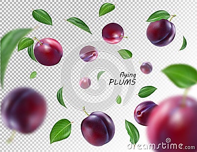 Flying purple plums on transparent background. Realistic quality vector. Eps10. Vector Illustration