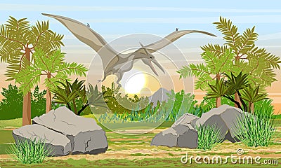 Flying reptile Pteranodon in the sky above prehistoric forest. Prehistoric animals and plants. Vector Illustration