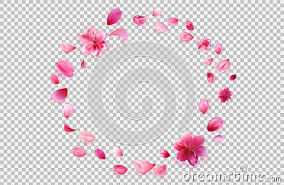 Flying sakura petals png isolated on transparent background. Round flower frame. Stock vector illustration isolated on Vector Illustration