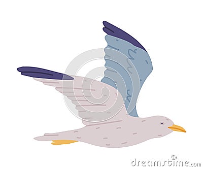 Flying Seagull as Seabird and Traditional Istanbul Symbol Vector Illustration Vector Illustration