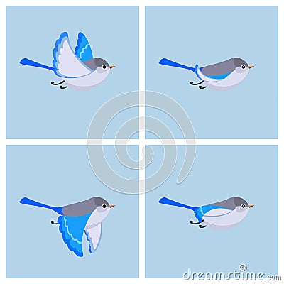 Flying Splendid Fairy Wren female animation sprite sheet Vector Illustration