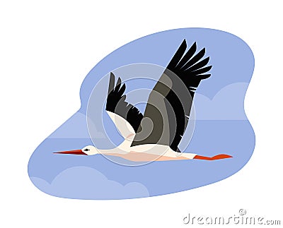 Flying stork bird with black and white feathering, long beak and legs, cartoon vector wildlife animal bird on blue sky Vector Illustration