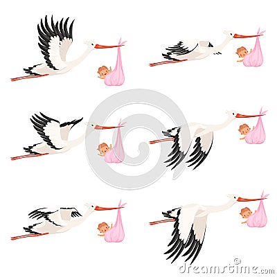 Flying stork frame animation. Bird delivery newborn baby carry vector cartoon characters isolated Vector Illustration