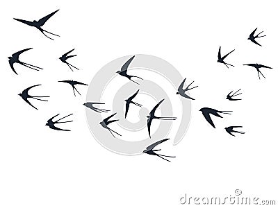 Flying swallow birds silhouettes vector illustration. Migratory martlets flock isolated on white. Vector Illustration
