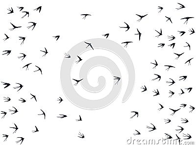 Flying swallow birds silhouettes vector illustration. Nomadic martlets bevy isolated on white. Vector Illustration