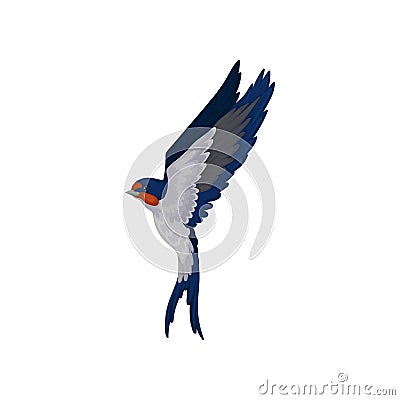 Flying swallow, graceful bird with red plumage around the beak and dark blue wings vector Illustration on a white Vector Illustration