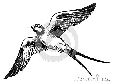 Flying swallow Stock Photo