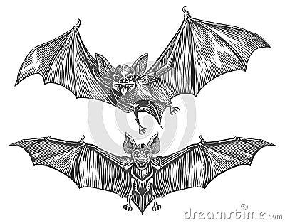 Flying vampire bat. Vintage sketch vector illustration. Design elements for Halloween holiday decoration Vector Illustration