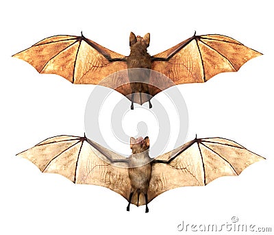 Flying Vampire bats isolated on white background Stock Photo
