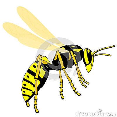 Flying wasp Vector Illustration