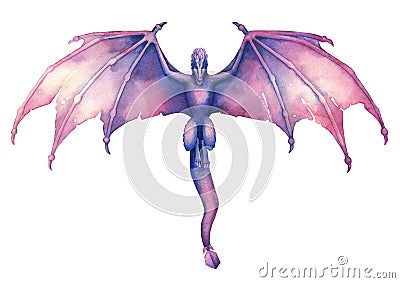 Flying watercolor dragon with open wings in purple colors. Cartoon Illustration