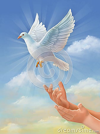 Flying white dove Cartoon Illustration