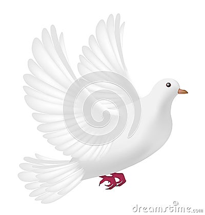 Flying white pigeon on a white background Vector Illustration