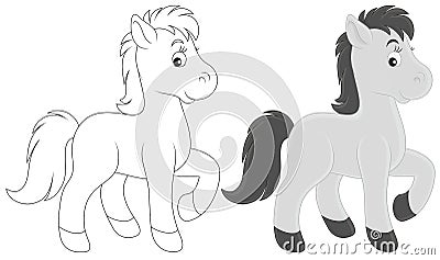 Foal Vector Illustration