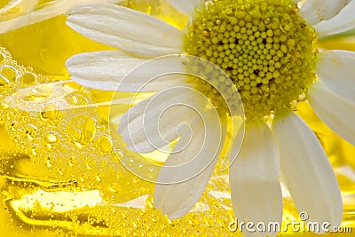 Foam for a bath with camomile Stock Photo