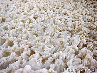 Foam of a beer fermenting Stock Photo