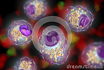 Foam cell, a macrophage cell with lipid droplets Cartoon Illustration