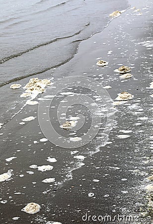 foam in the polluted water of the sea due to industrial discharg Stock Photo
