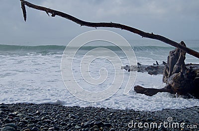 Foaming wave races up pebble beach to engulf a driftwood log Stock Photo
