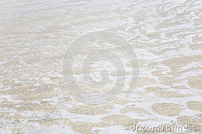 Foamy surface of a sea wave on a sandy beach. Close-up. Background. Space for text Stock Photo