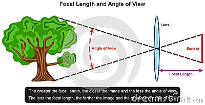 Focal length and angle of view infographic diagram Vector Illustration