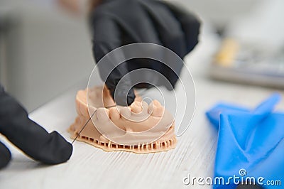 Focus on hands of dentist in black sterile gloves using dental floss showing how to brush teeth on plaster cast of teeth Stock Photo
