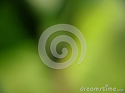 defocus photo, photo bokeh background Stock Photo