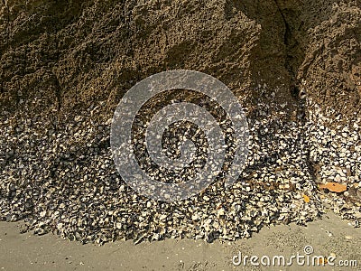 Focus on the remains of marine life, sand and sea, blue sea and Stock Photo
