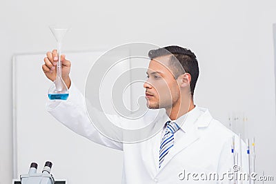 Focus scientist looking at blue precipitate Stock Photo