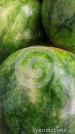Focus watermelon skin Stock Photo